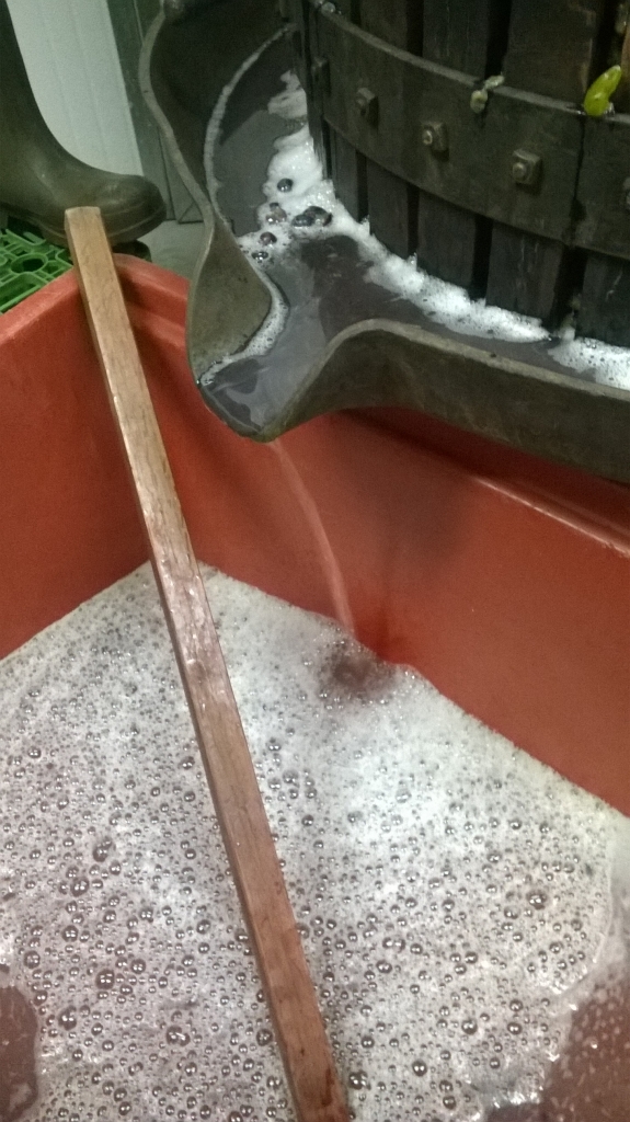 vinificazione
